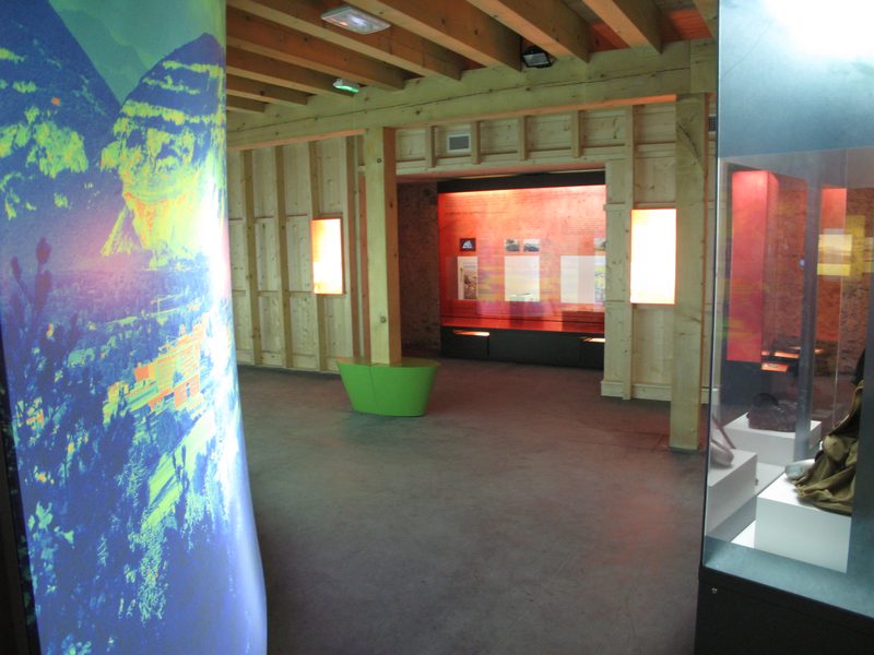 Parcours d'exposition avec vitrines et éléments de présentation