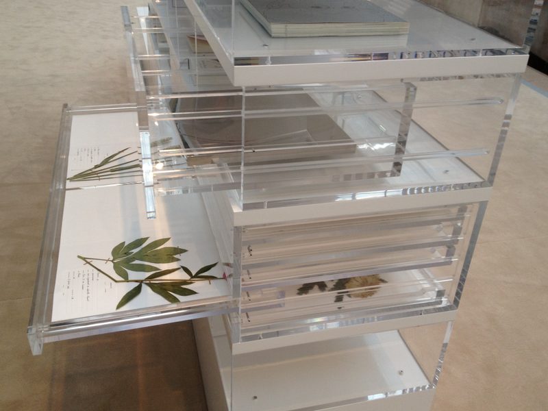 Tiroirs de présentation transparents pour planches d'herbier