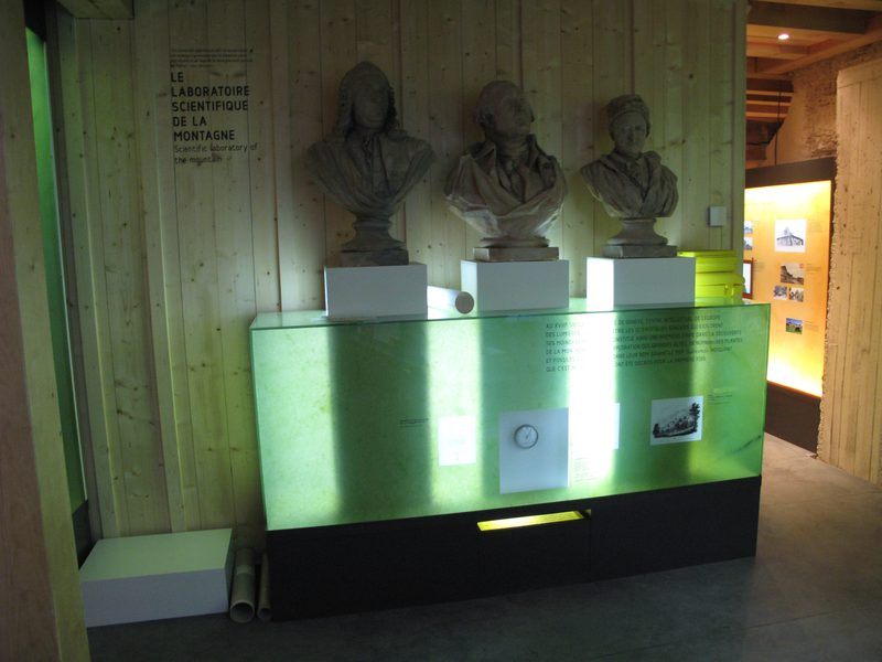 Vitrine de présentation de bustes dans une salle de musée